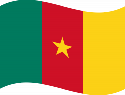 Drapeau Cameroun